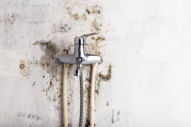 Best Fast Mold Removal  in Oak Island, NC