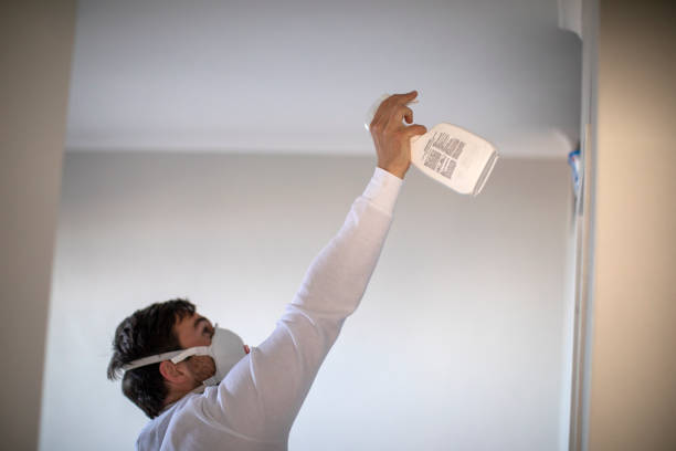 Best Same-Day Mold Removal  in Oak Island, NC